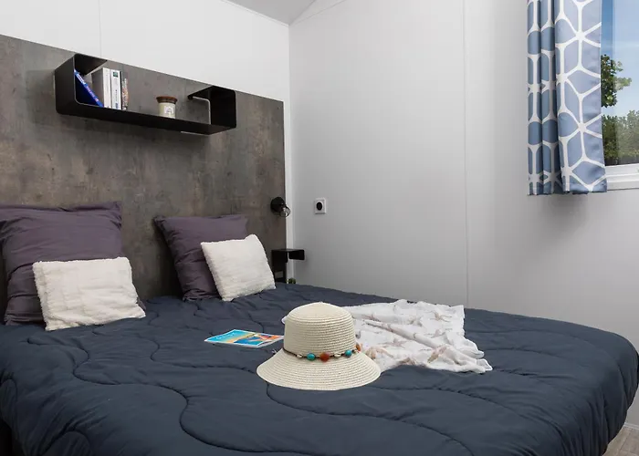 Domaine Des Salins 圣伊莱尔·德列